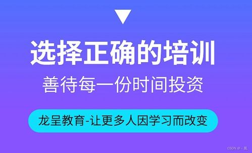 杭州龍呈教育科技 以信息技術咨詢服務賦能一流教育體驗